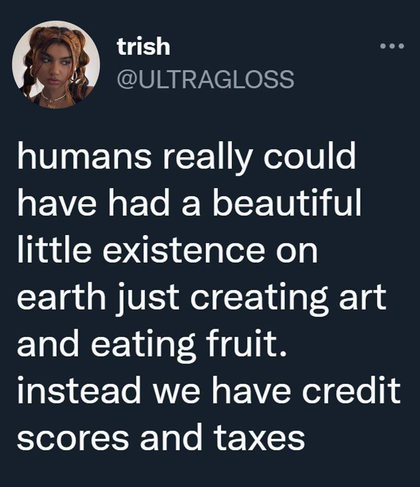 This meme is a humorous commentary on the state of human existence. The text reads: "humans really could have had a beautiful little existence on earth just creating art and eating fruit. instead we have credit scores and taxes." The meme pokes fun at the idea that humans have become so focused on material wealth and financial success that we have lost the simple, simple pleasures of life.